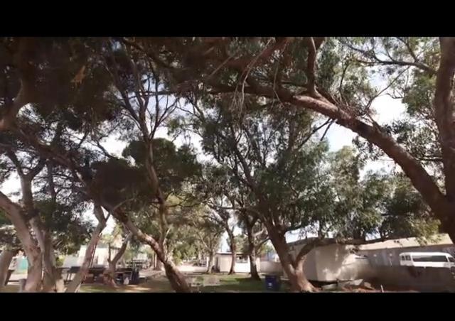 A1Cabins Ξενοδοχείο Ceduna Εξωτερικό φωτογραφία
